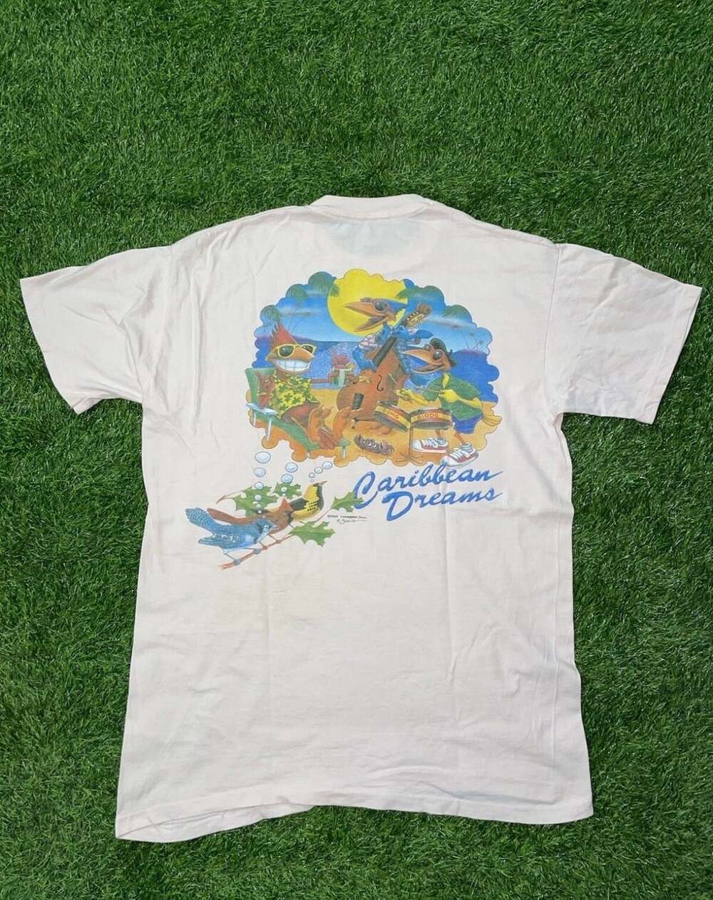 Caribbean Soul Caribbean Dreams Vintage Graphic T-Shirt